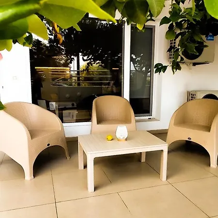 Lemon Tree *